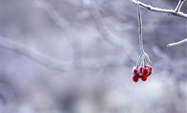 十二星座爸比育儿表现