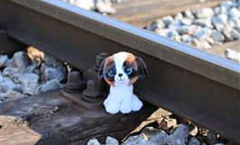 十二星座中，最难留住爱情的三个星座，不是不够真，是不敢开始