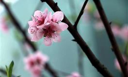 “撩妹”技术堪称一流的星座男：调情高手，让女友怎么也离不开