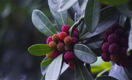 一旦爱上，婚后会珍惜老婆付出的三大星座男