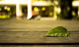 最容易被洗脑的三个星座，没有主见，太容易相信别人