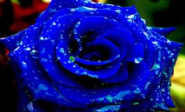 对感情最难原谅的三个星座，会一辈子记得，受伤后，注定不会心软