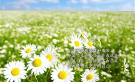 十二星座喜欢一个人，会出现的小动作，12星座女最大的感情死穴是什么？