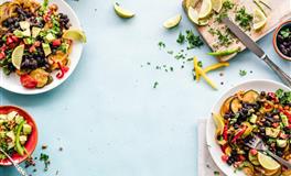 气质独特，灵魂无可替代，称得上凤毛麟角的星座