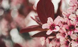 双子座的笑容，藏着别人看不见的伤