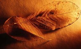 这六个星座最害怕什么样的爱情，是害怕贫穷，还是害怕冷暴力