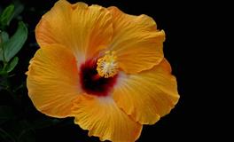 当12星男偷偷想念你，会有何表现