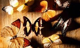 微笑带给别人，悲伤留给自己的四大星座