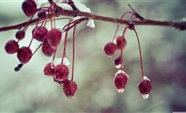 表面柔弱，内心刚强的三大星座，不抱怨，不诉说，让人刮目相看