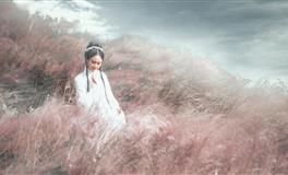 天生智商惊人，却不适合当领导的六大星座！处女座很不情愿的上榜