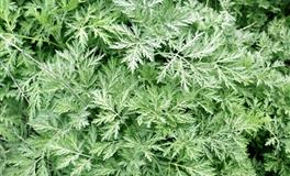 十二星座都是怎么处理负面情绪？是抛之脑后？还是深夜消化？