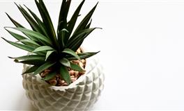 情商极高的星座，洞察力过人，一眼看透人心，却从不拆穿