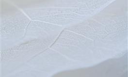 值得你托付终身的星座，从不会流连花丛，心里只有你！