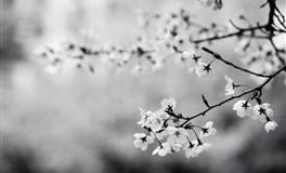 分手后不会回头的星座，是开始新生活，还是过于决绝