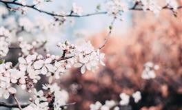 恋爱观很独特的星座，会对爱情，保持着距离感