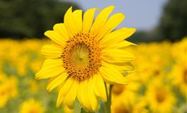 与B型血成功恋爱的秘籍，快收下