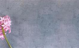 天秤座为啥会背黑锅，长点心吧