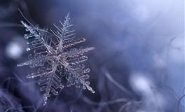 婚姻中很强势，被称之为“悍妻”的星座女