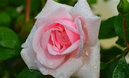 情商极高，社交能力非常强大的三个星座，但又特立独行，极不合群