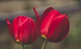 过分包容他人的三个星座，天秤耳根子软，巨蟹天生好脾气