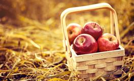 脾气最暴躁的三大星座，对家人脾气差，对外人却非常礼貌