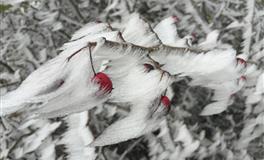 即使步入中年，也能保持“童心”的三大星座，能让人感到快乐