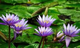 勇于直面惨淡人生，实力决定一切，3星座是时候展现真正的技术了