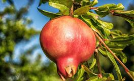 天蝎座的内心，对什么事情比较在意？