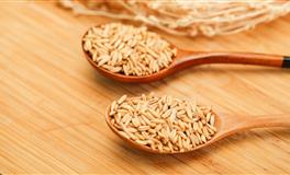 十二星座的爱情理想型