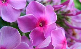 看起来冷淡，但是最容易心软的三个星座，没有底线，总是愿意妥协