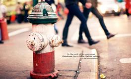 最有福气的5大星座女，被另一半宠溺得像个小公主