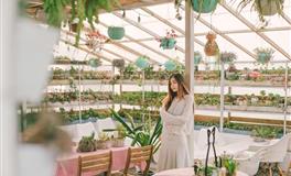 爱过了，痛过了，放手了，再见了，3星座：为你我已耗尽所有力气