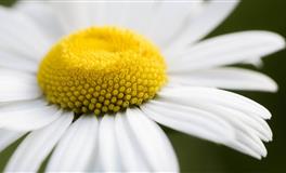 一分钟教会你如何“勾引”12星座男