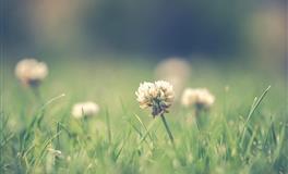 内心虚荣，总喜欢打肿脸充胖子的4个星座