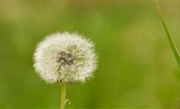 十二星座喜欢一个人，会出现的小动作，12星座女最大的感情死穴是什么？