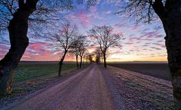 爱情中，不善于主动表白的星座，鼓足勇气时一切都晚了