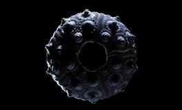 十二星座男能把女朋友宠到哪种极致？12星座善变指数!