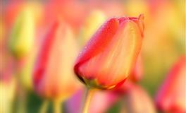 12星座最容易犯蠢的傻事