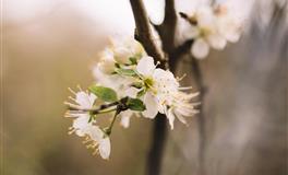 深情不及久伴，厚爱无需多言，爱情中行动大于言语的3个星座