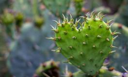天使与恶魔并存，拥有两幅面孔的星座，让人猜不透