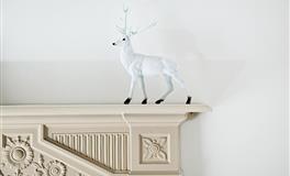 十二星座买买买指数大盘点