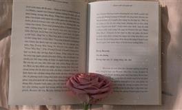 宠妻如命，可以依靠终身的三大星座男，遇到了做梦都能笑醒