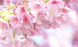 苏珊米勒一周星座运势（10.19-10.25）