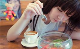 苏珊米勒每日运势2020年11月17日