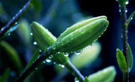 天性忠厚，心眼极好，人缘极佳的四大星座