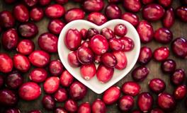 苏珊米勒每日运势2020年12月4日