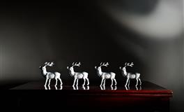 苏珊米勒一周星座运势（12.14-12.20）