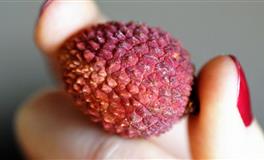 苏珊米勒一周星座运势（4.5-4.11）