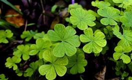 2021年中将会转运，下半年顺风顺水的四大星座