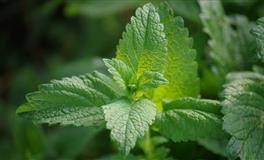 情绪不稳定，这些星座一言不合就拉黑人